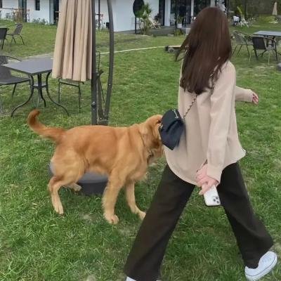 终极人鱼岛